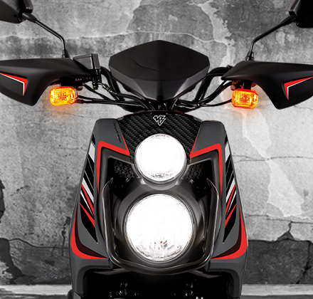 FORTTE 175