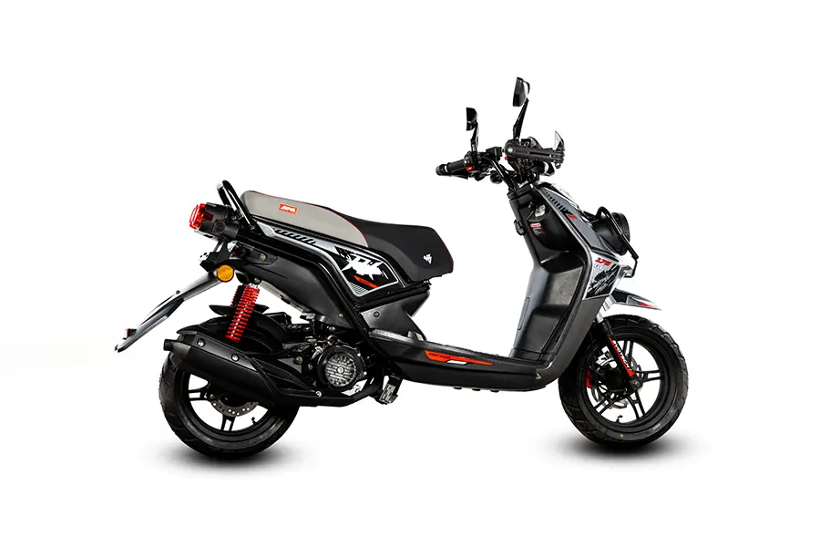 RX175 vista 360