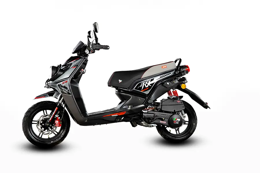 RX175 vista 360